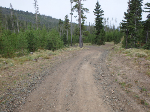 GDMBR: Slow downhill.